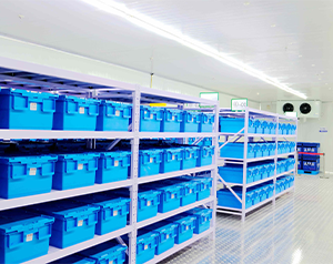 自动化医药冷库运营管理系统：提升效率与准确性