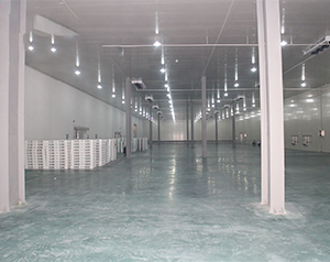 200吨海鲜冷库建造成本