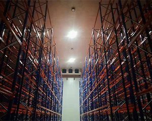 全自动化智能水果干果冷库