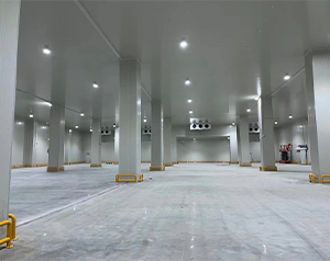 你知道未来哪种冷库更有市场潜力，有&ldquo;钱&rdquo;景？