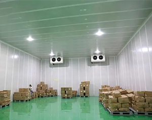 农产品物流冷库，电商低温仓储冷库建造及运营成本预算