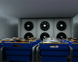 10000m&sup3;生鲜电商冷库建造费用大概在多少