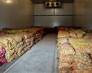 建造一千吨红薯保鲜库，费用大概在多少？