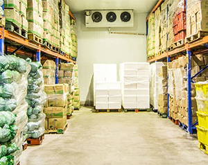 15吨蔬菜保鲜冷库造价_蔬菜冷库设计方案&mdash;苏州