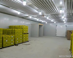 蔬菜制种有&ldquo;钱&rdquo;途  冷库也来助你一臂之力