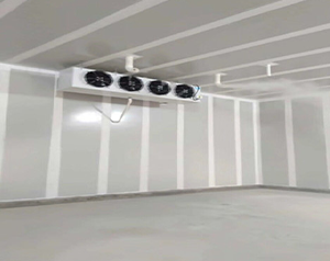 花卉冷库保存时间多久合适