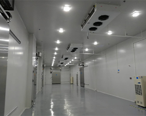 中药材烘干库房设计方案及流程