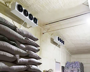 种子冷库建造，种子冷库温度要求