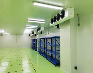 生物制药工厂仓储中心冷库