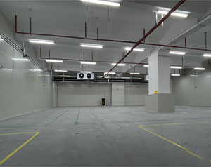 内蒙古葡萄气调冷库建造厂家