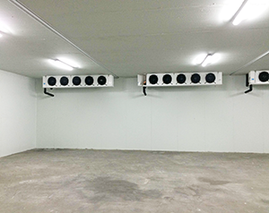 水产冷库造价标准多少钱？水产海鲜冷库定制安装方案