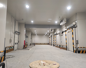 江西食品冷库建造需要什么条件
