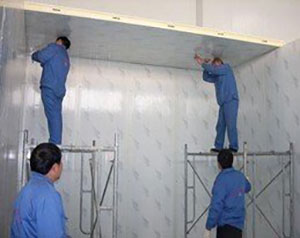 修一个冻库需要多少钱？