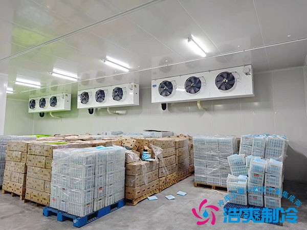 1000平米医药冷库建设方案及造价清单