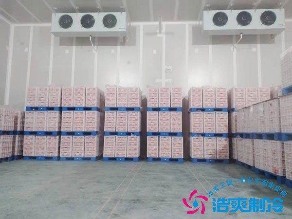 气调冷库建造价格