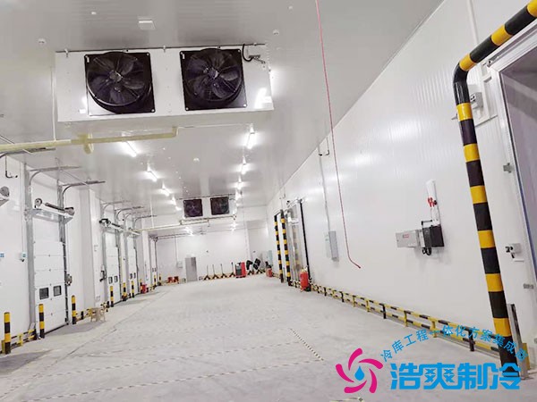 建造一个大型冷链仓储投资明细