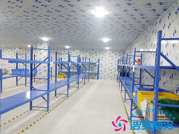 蔬菜保鲜冷库造价表