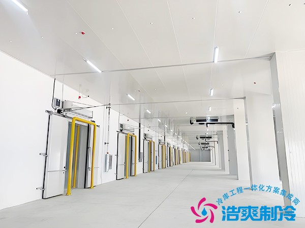 大型冷链物流园冷库设计方案