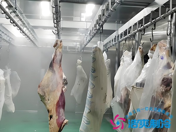 猪副产品冷库造价