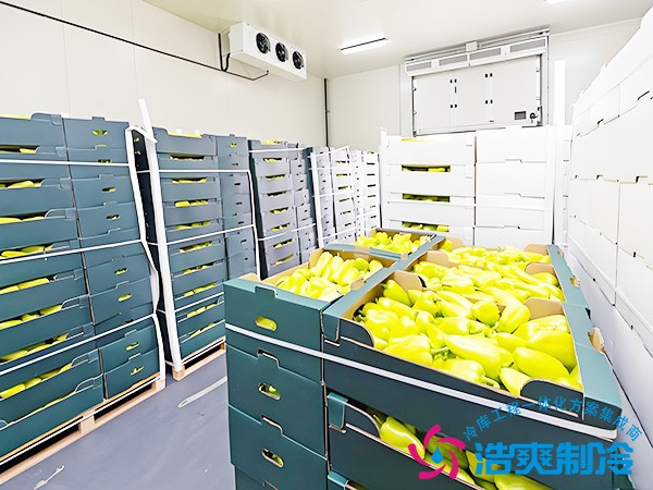 水果冷库保鲜库建造价格