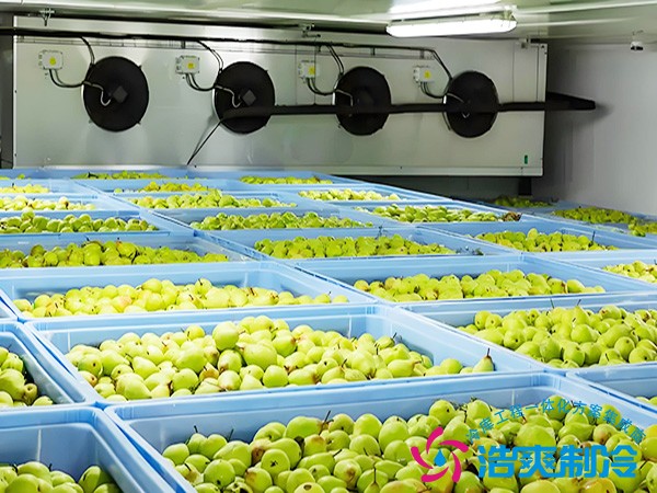 水果冷库建设预算