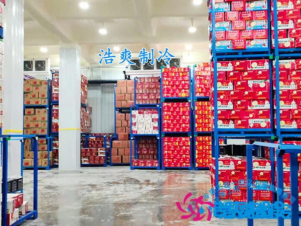 3万吨荔枝冷库投资成本
