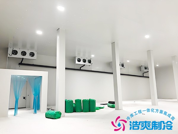 1000立方冷库造价多少钱