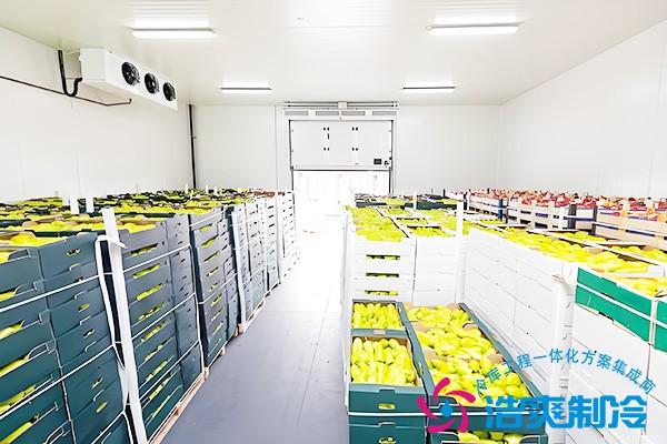 蔬菜保鲜库费用