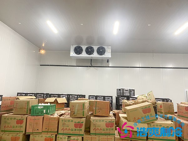 水果冷库建造多少钱