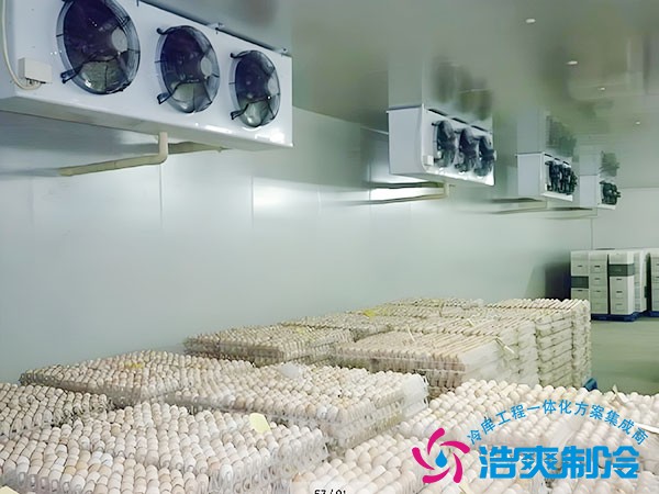 鸡蛋保鲜冷库造价预算
