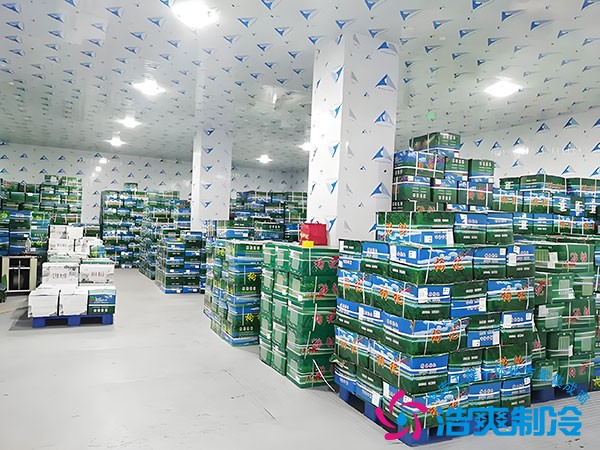 冷库建设多少钱一平方