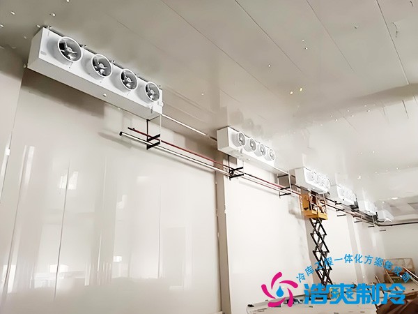 速冻冷库安装费用