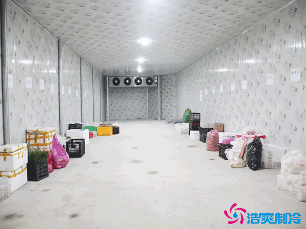 500吨组装式低温冷藏库（冷冻库）造价