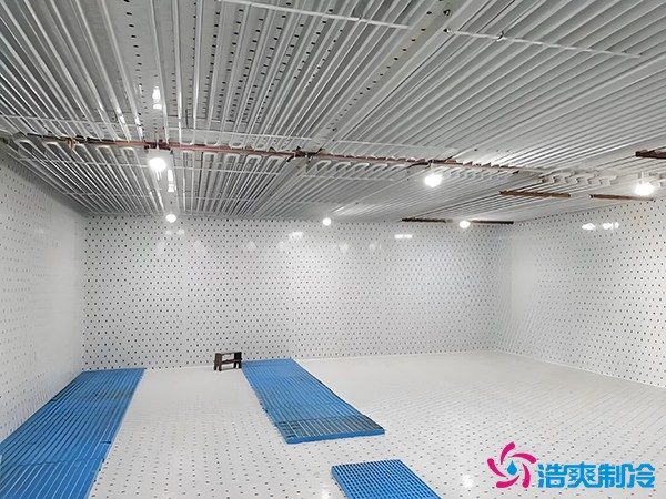 建个冷冻库要多少钱？冷冻库每平方米的造价标准