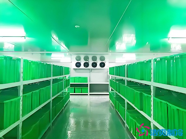 药品批发企业冷藏库平方面积要求多少？1000平药企冷库造价