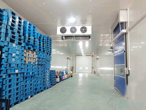 想建一个市级配送中心冷库建设成本大概多少钱？