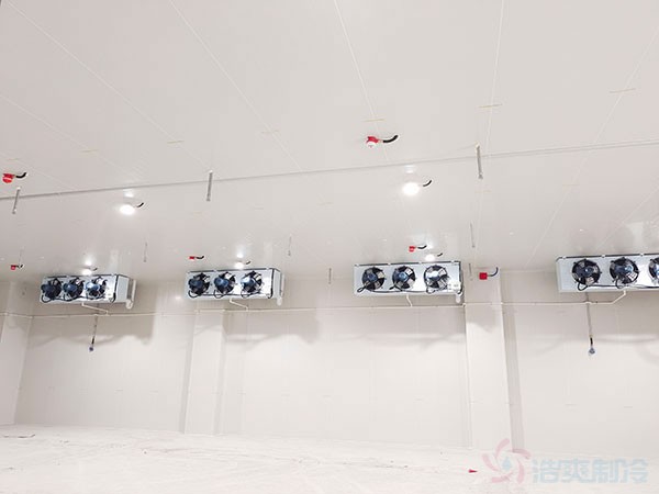 防爆冷库与普通冷库差异详解