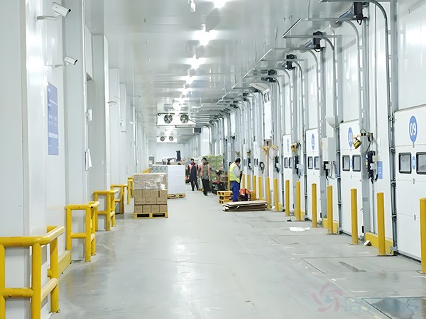 5000吨大型冷库工程造价