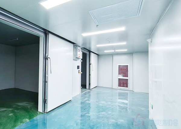 医院药品冷库建设造价