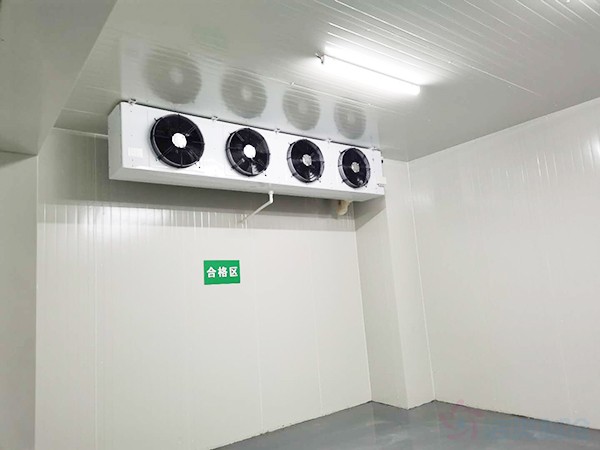 兽用生物制品冷库面积需要建多大？造价预算多少钱