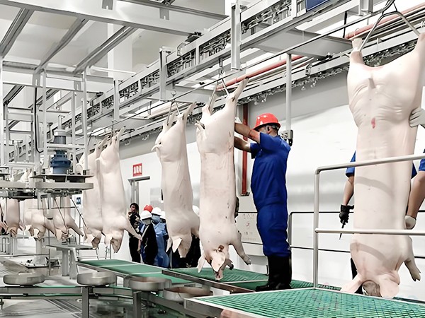 畜禽屠宰冷库和肉类低温冷库的造价区别