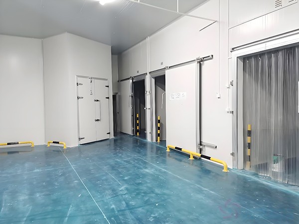 上海生物医药冷库安装造价多少钱？