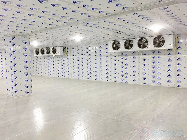 建一个冷冻库造价需要多少钱一平方？