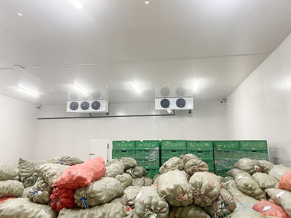 影响蔬菜保鲜冷库建造价格的因素有哪些？