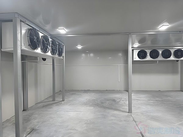 基因冷库建设需要满足什么标准条件