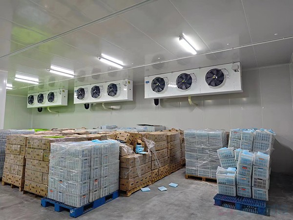 大型工业药品冷库建设安装价格大概多少钱？