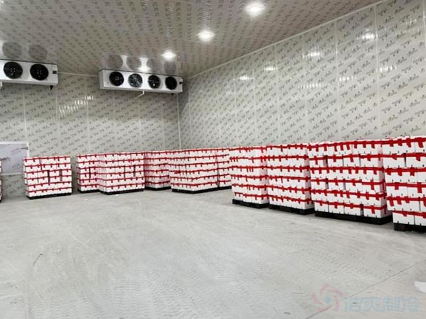 400平米冷库造价预算