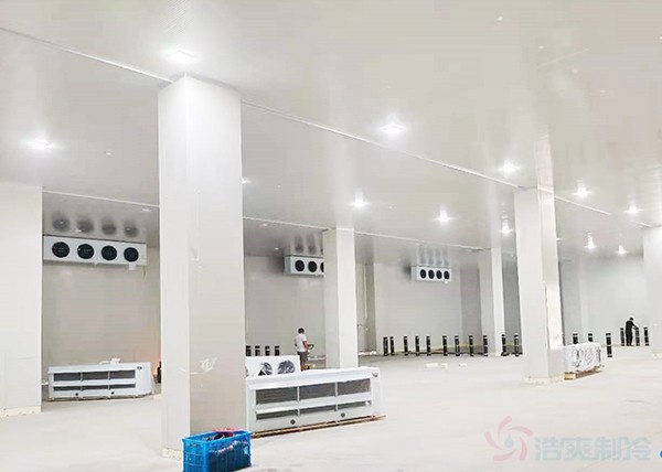 10000吨冷库建设价格