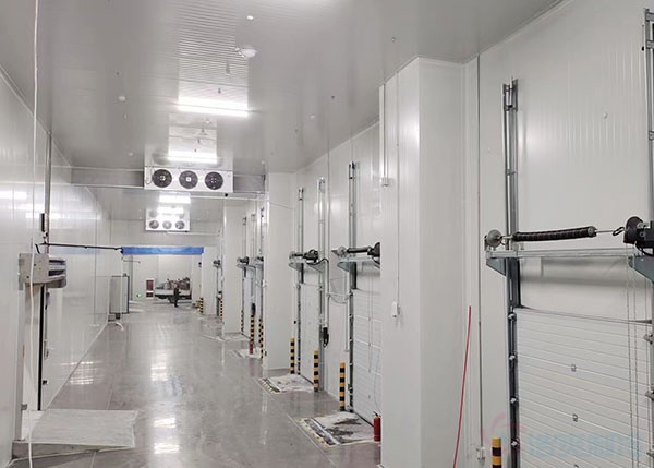 建造冷库需要多少钱一平米?