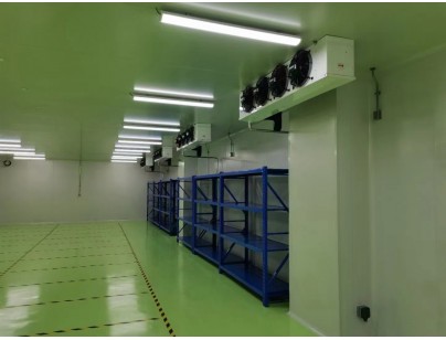 成都康诺亚一桥生物科技公司创新医药冷库建设工程案例